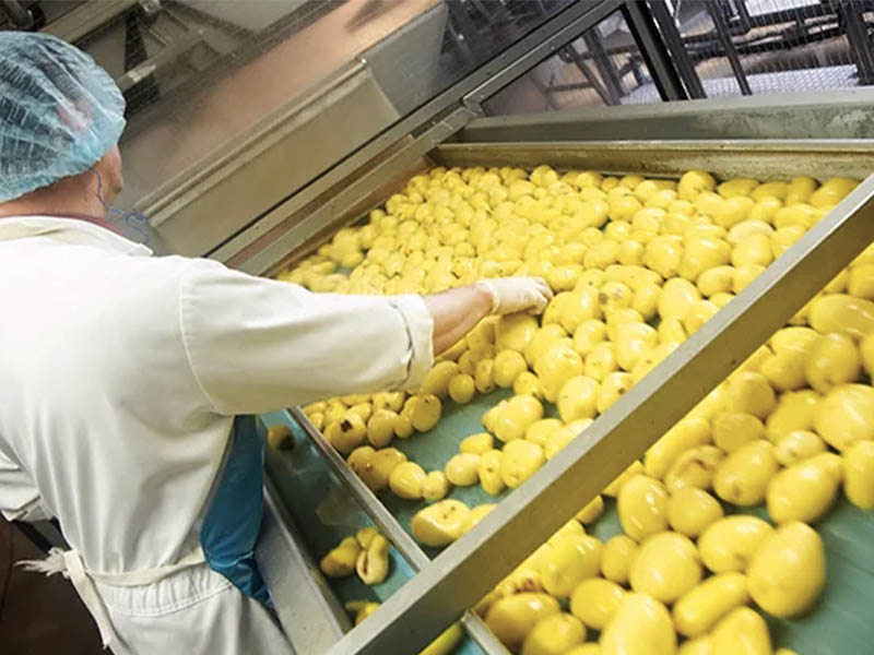 Agriculture Processing 1