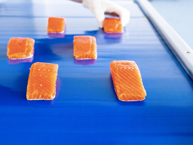 Beef Steak pu conveyor belt