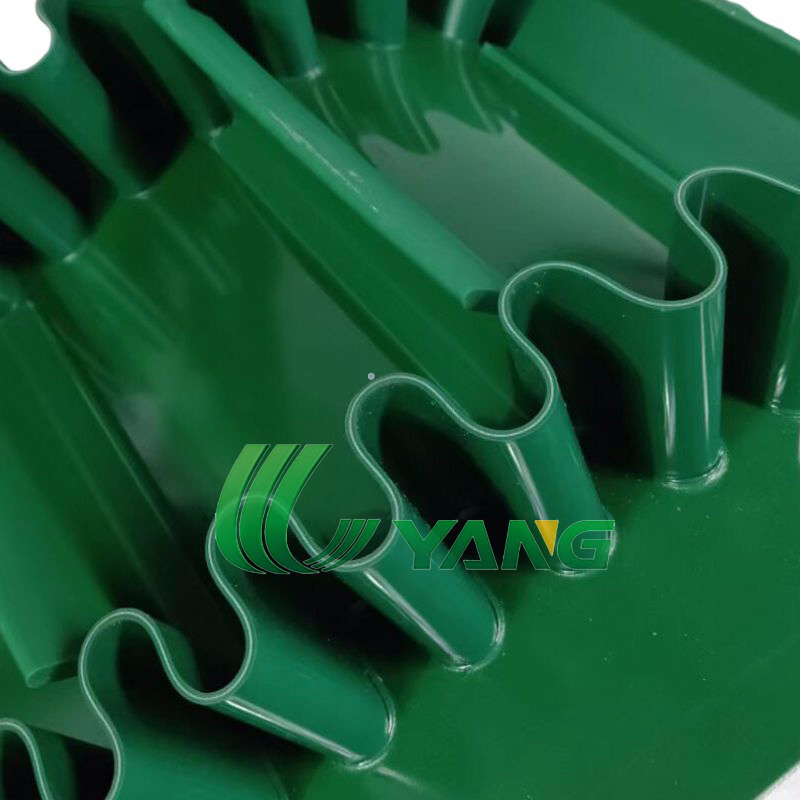 Conveyor belt Sidewall