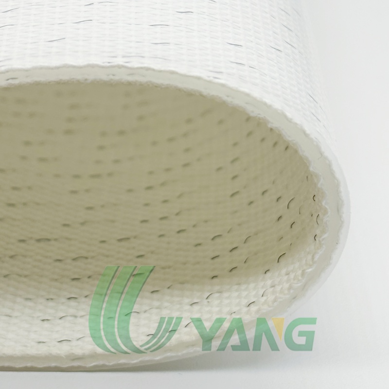 PE conveyor belt