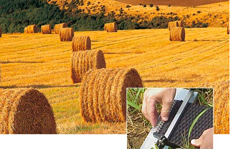 Baler belt